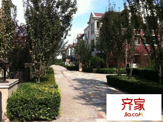 江勝天鵝湖外景圖