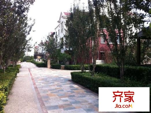 江勝天鵝湖外景圖