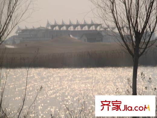 曹妃湖紅樹灣周邊周邊大橋