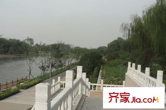 盛安金景周邊配套-陡河帶狀公園