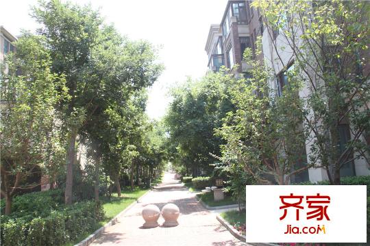 金隅樂府小區(qū)園林（2015-06-23）