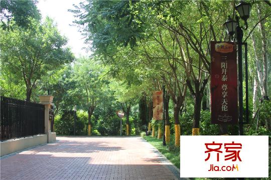 金隅樂府小區(qū)內(nèi)部綠化（2015-06-23）