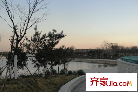 金隅樂府項(xiàng)目附近的唐河風(fēng)景