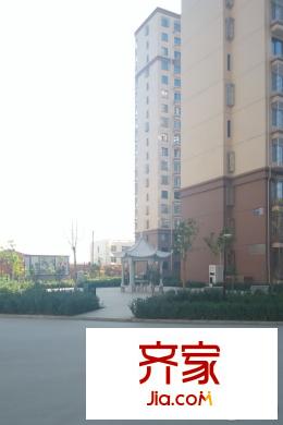 大悅新城小區(qū)內(nèi)實景（2015-11-3）