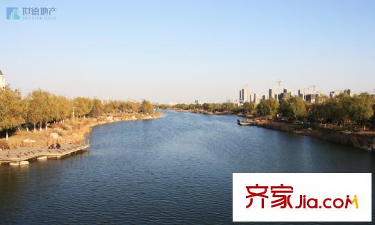 唐門一品 觀瀾周邊配套-青龍湖公園