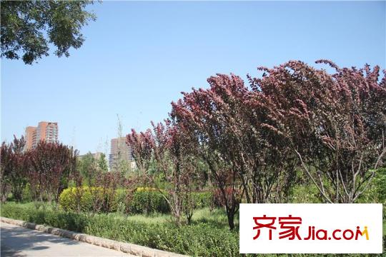 禾木花苑商業(yè)配套