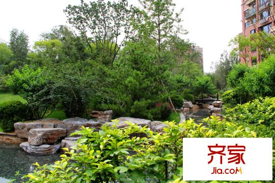 橡樹灣一期園林（2013-8-15）