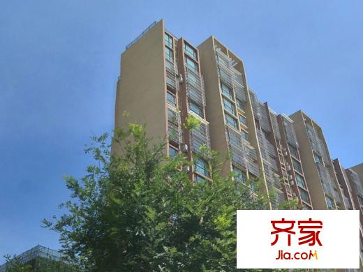 宏揚(yáng)香木林