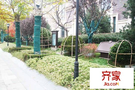 唐城壹零壹園林（2015-11-12）