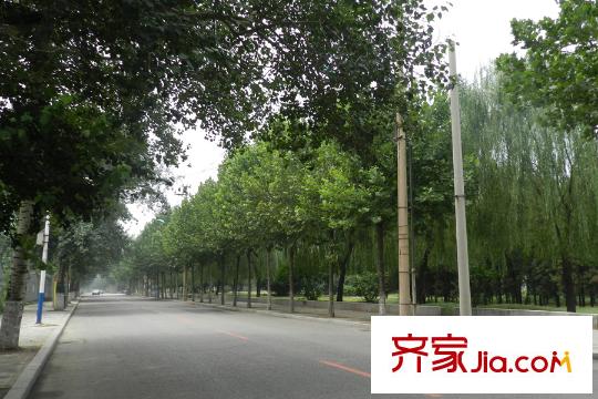 水岸榮華周邊配套-道路實景