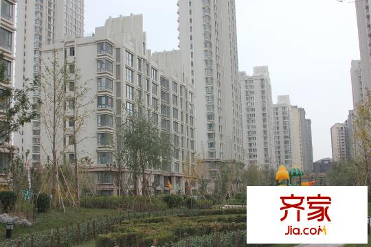 興盛大成現(xiàn)房（2015-11-05）