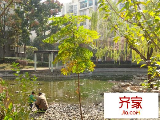 麗水佳園二期外景圖 