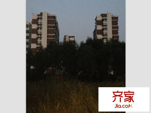 萬景苑實景圖小區(qū)（20130929）