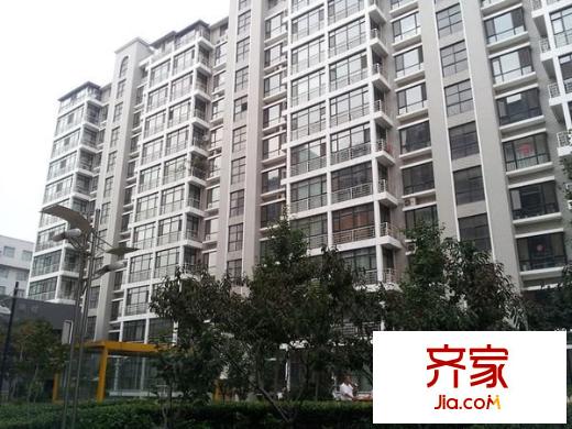 阳光地带
