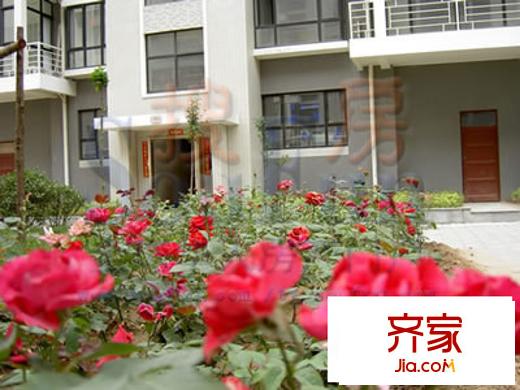 陽光地帶外景圖