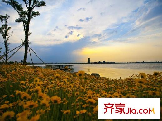 中置少海灣周邊配套之少海濕地公園