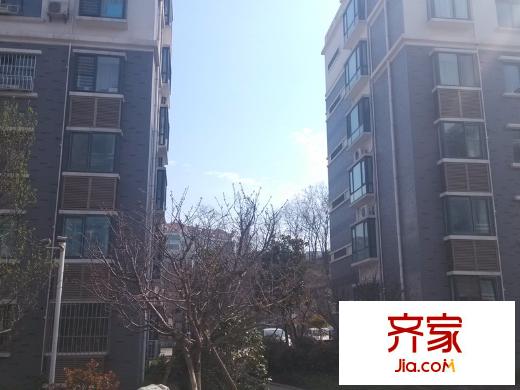 春江花苑外景圖
