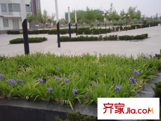 游龍逸海庭院周邊百米處公園