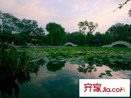 瞰海品筑周邊臨近的西沽公園