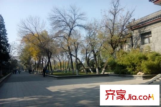 中山八號中山8克拉周邊北寧公園