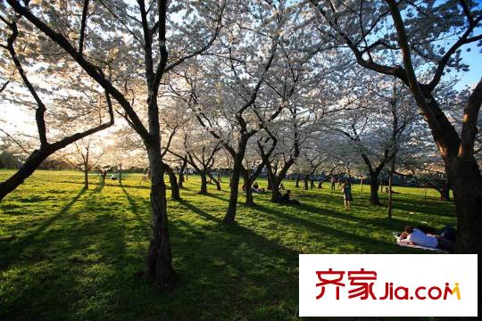 景瑞陽(yáng)光尚城周邊小淀公園