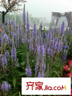 天時(shí)茗苑周邊武清文化公園
