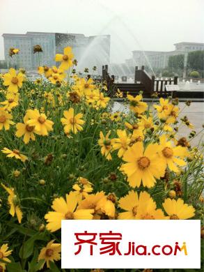 天時(shí)茗苑周邊武清文化公園