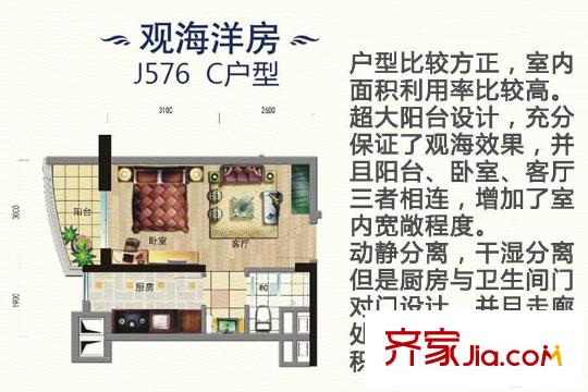 碧桂園十里金灘E區(qū)42-48號(hào)樓和H區(qū)2、7、8號(hào)樓576-03戶型圖 1室1廳1衛(wèi)1廚