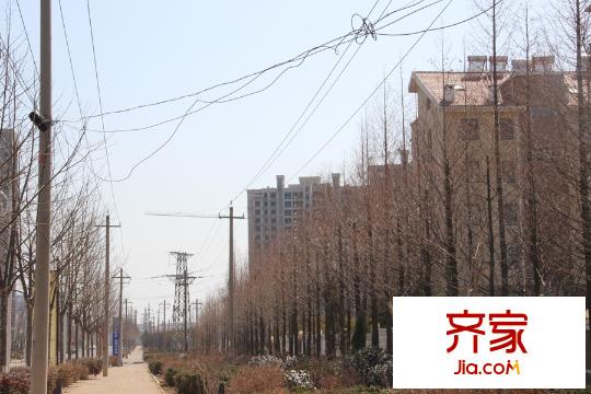 歐美榭香里（2015-3-19）