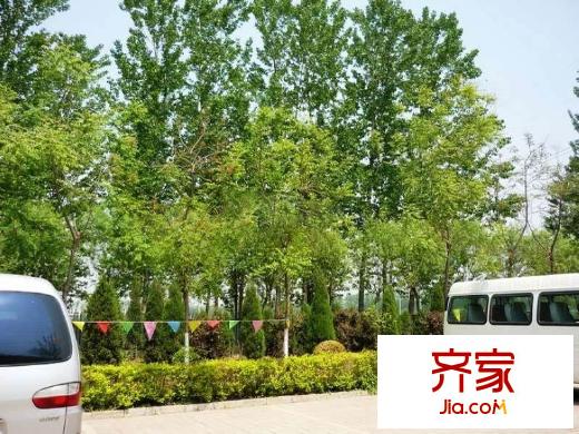 田納溪湖