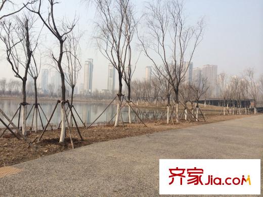 新梅江雅境新楓尚周邊配套衛(wèi)津河公園