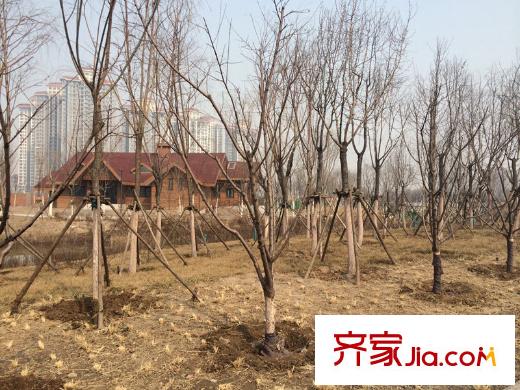 新梅江雅境新楓尚周邊配套衛(wèi)津河公園