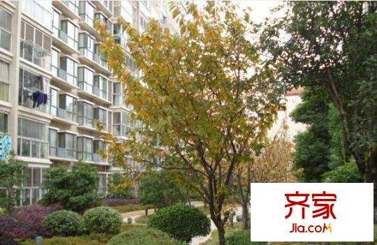 港口小區(qū)外景圖