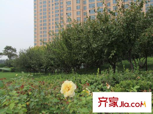 仁恒河濱花園周邊花朵