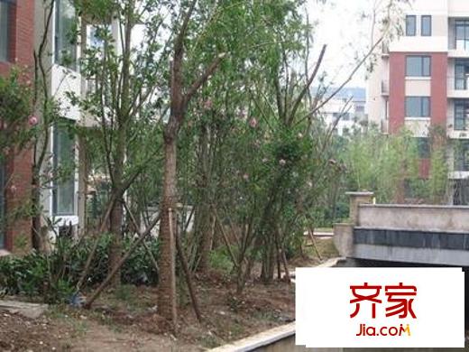 東郊小鎮(zhèn)別墅外景圖