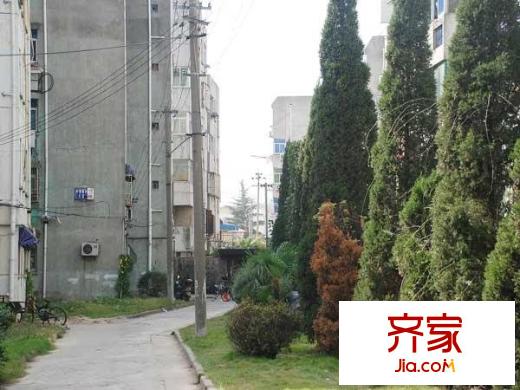 外港新村外景圖