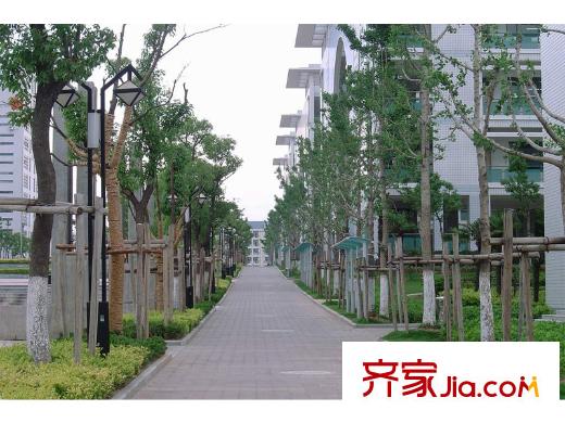 金東城雅居配套圖江寧高級(jí)中學(xué)