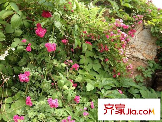 遠(yuǎn)雄蘭苑周邊森林公園
