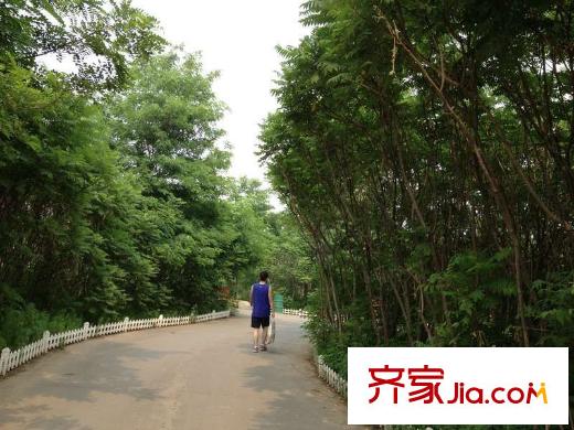 遠(yuǎn)雄蘭苑周邊森林公園