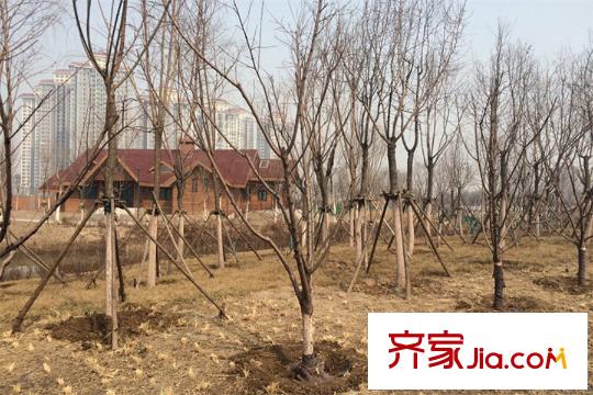 新梅江錦秀里周邊臨近的衛(wèi)津河公園