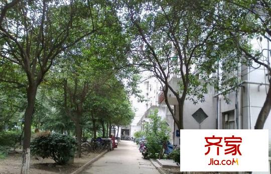 茶花里小區(qū)外景圖