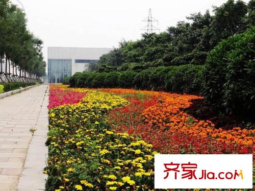 光耀東方國際大廈周邊臨近的景觀