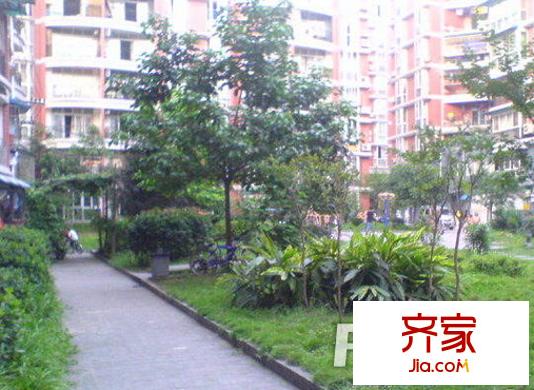 河南省人事廳家屬院外景圖 