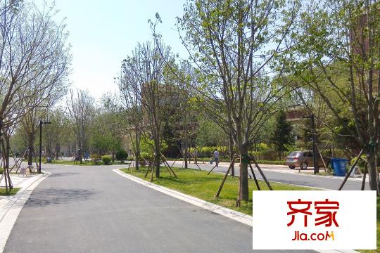 南湖9號獨棟別墅一期小區(qū)(2015-05)