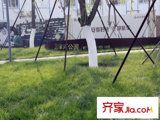 金僑新梅江壹號(hào)周邊配套近500米處綠地