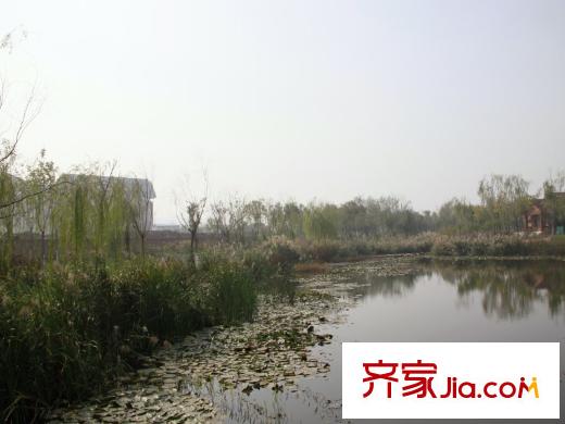 金僑新梅江壹號(hào)周邊配套近500米處公園