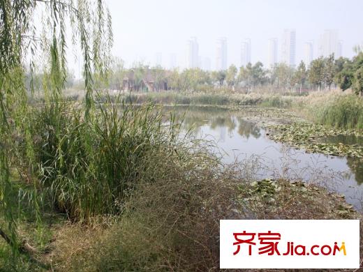 金僑新梅江壹號(hào)周邊配套近500米處公園
