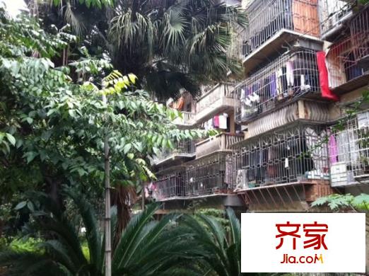 南禪新村外景圖 