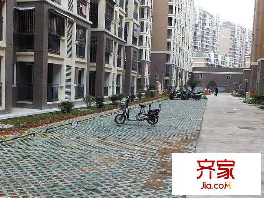 臨江新天地玉島苑外景圖 