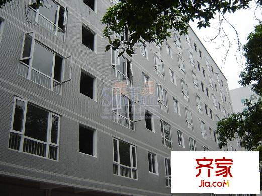 國(guó)坤大廈外景圖  工程進(jìn)度